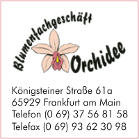 Orchidee Blumenfachgeschft